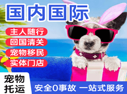 盐城航空托运国际宠物托运 【国
